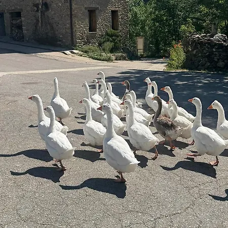 Casa di campagna Casa Castan *